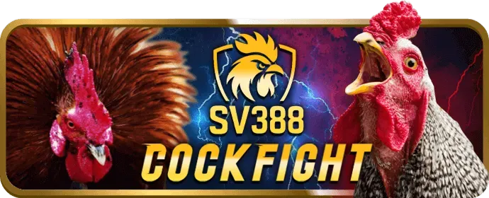 Cá cược thể thao tại MV66